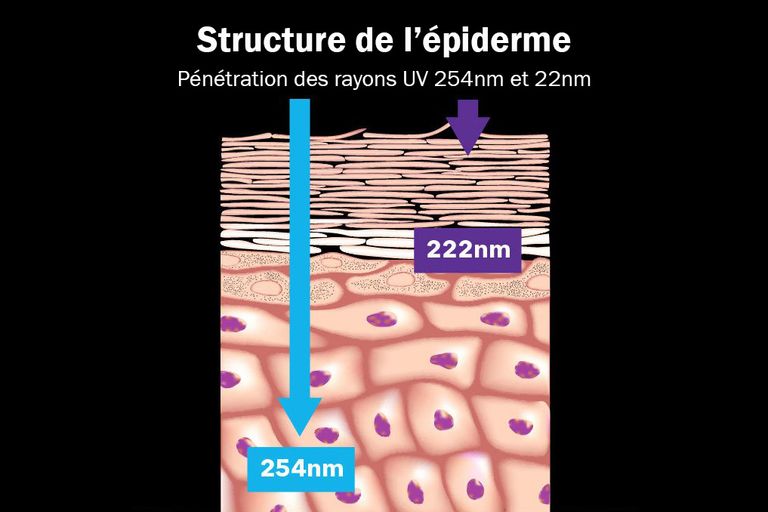 Parution MailOnline : les UV-C lointains 222nm germicides