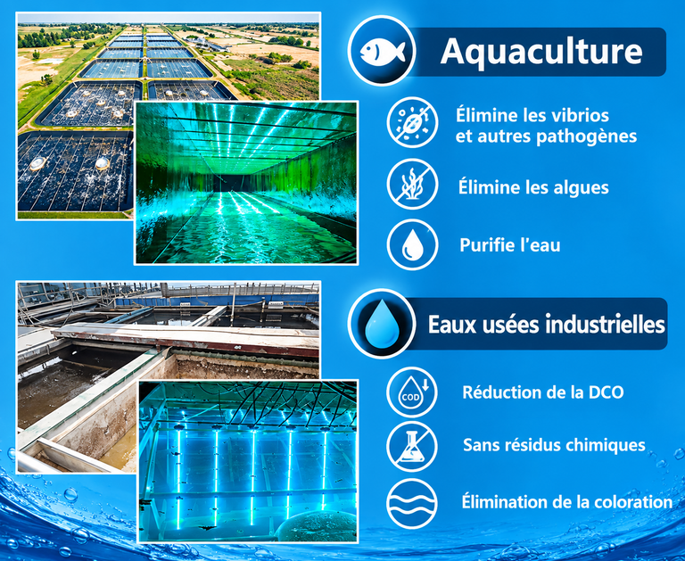 Tubes UVC pour aquaculture et eaux usées - France UVC