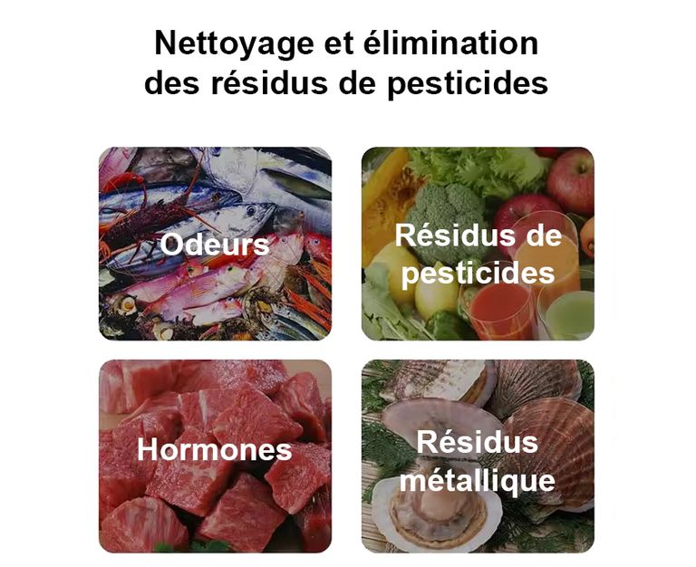 Stérilisation et élimination des résidus de pesticides grâce au générateur d'eau ozonée pour gros volume, idéal pour les cuisines de restaurants, concentration en ozone élevée de 0.5 à 2.6mg/L (PPM) - France UVC