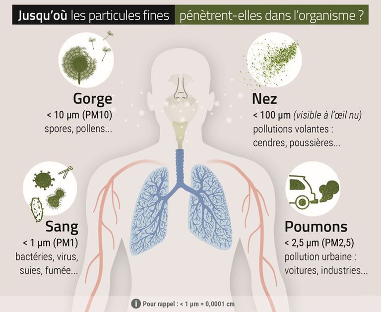 Particules fines dans l'organisme - France UV-C