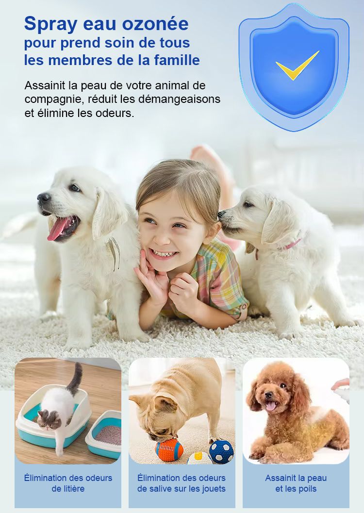 Spray eau ozonée en 3 minutes par électrolyse - 0.5 à 2.6mg/L (PPM) - Utilisation des différentes têtes et différentes positions - France UV-C