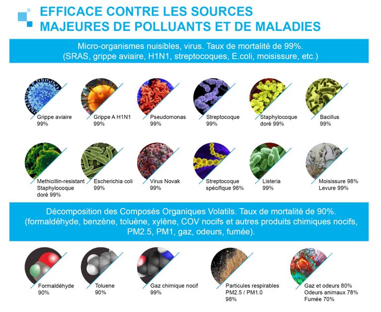 Efficacité contre les sources majeures de polluants et de maladies