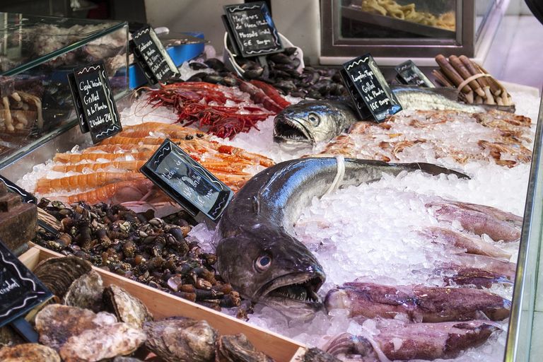 Conserver les fruits de mer et les poissons avec l'ozone